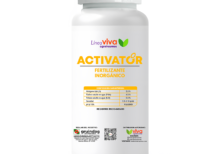 Activator 1 LT